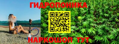 скорость Новодвинск