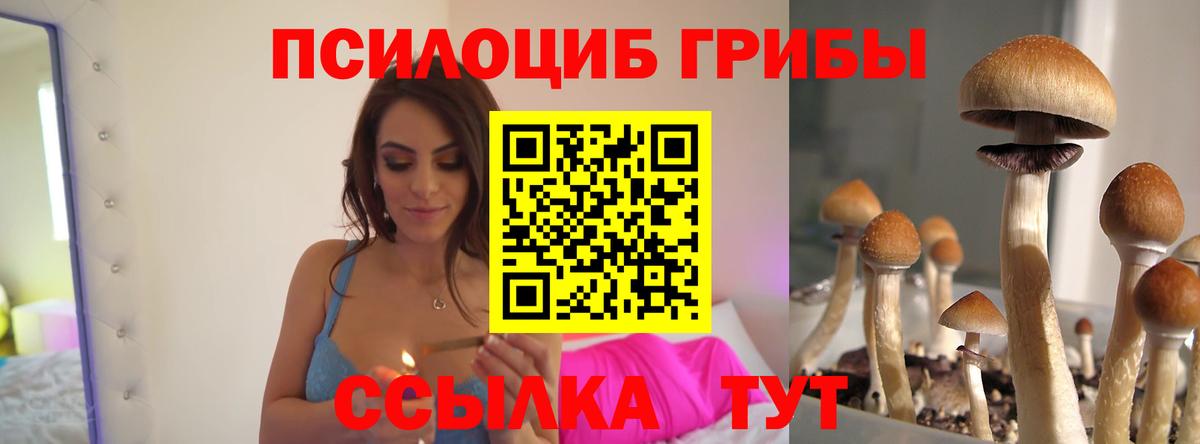 Галлюциногенные грибы мухоморы Сорочинск